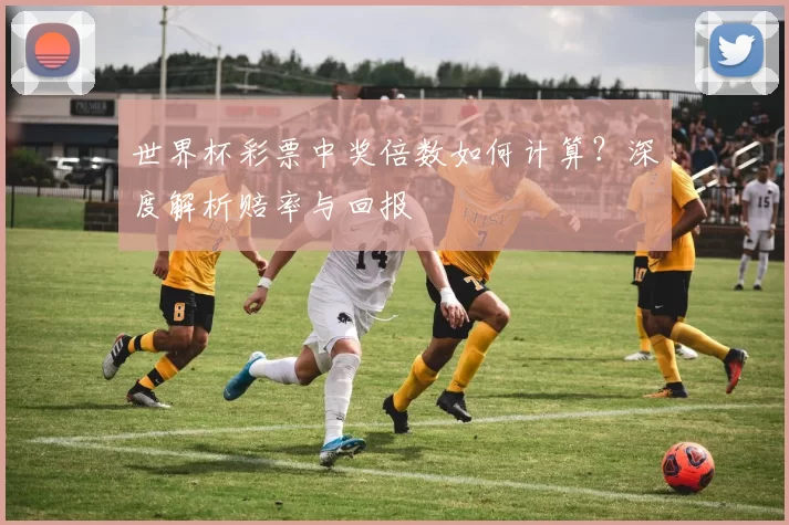 世界杯彩票中奖倍数如何计算?深度解析赔率与回报