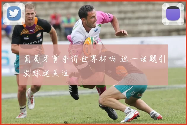 葡萄牙曾夺得世界杯吗 这一话题引发球迷关注