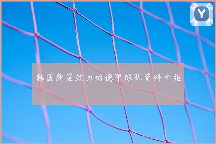 韩国新星效力的德甲球队资料介绍