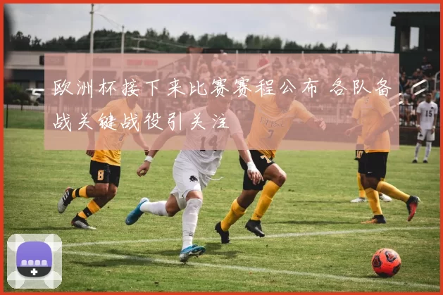 欧洲杯接下来比赛赛程公布 各队备战关键战役引关注