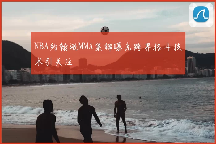 NBA约翰逊MMA集锦曝光跨界格斗技术引关注