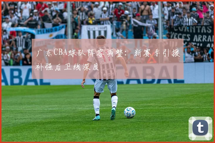 广东CBA球队阵容调整：新赛季引援补强后卫线深度