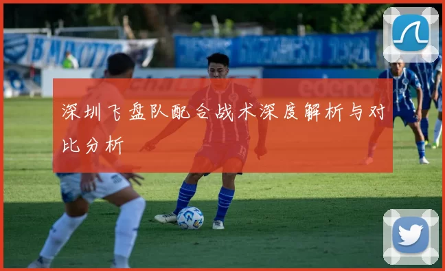 深圳飞盘队配合战术深度解析与对比分析
