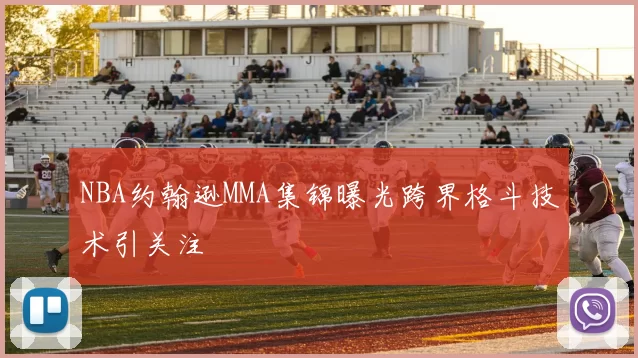 NBA约翰逊MMA集锦曝光跨界格斗技术引关注
