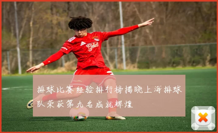 排球比赛经验排行榜揭晓上海排球队荣获第九名成就辉煌